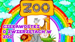 Zwierzęta ZOO dla dzieci Dzikie zwierzęta ciekawostki bajka dla dzieci [upl. by Ezarras]