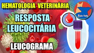 Interpretação do hemograma  Leucograma Parte 1  Medicina veterinária [upl. by Slein850]