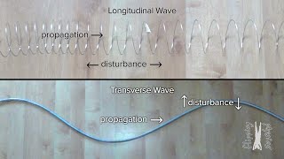 Introduction to Waves [upl. by Wyne]