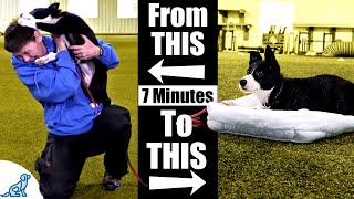 Teach Your Puppy To Calm Down With This 7 Minute Exercise [upl. by Ainirtak]