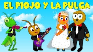 El piojo y la pulga  Canción Infantil en Español [upl. by Annek978]