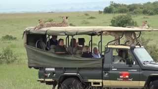 Cheetah jumps into a Safari Vehicle  Masai Mara  Kenya [upl. by Geerts]