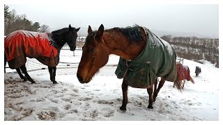 SNOW ARRIVES AT THE WORSE TIME [upl. by Helfant808]