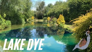 LAKE DYE  FISHERY MAINTENENCE [upl. by Tremain]