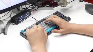 Typing Cherry MX Silent Red Lubed with Superlube  Varmilo VA87M Moonlight [upl. by Ahswat209]