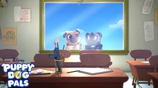 The Pups Get Schooled  Puppy Dog Pals  Disney Junior [upl. by Tecil]