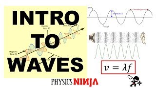 Introduction to Waves [upl. by Ansaev764]