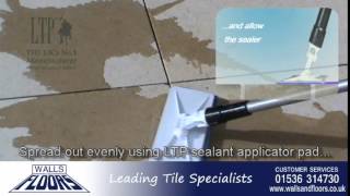 How To Fix And Seal Limestone Tiles [upl. by Kyd373]