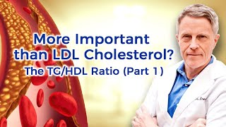 More Important than LDL Cholesterol The TGHDL Ratio Part 2 [upl. by Asilrak]