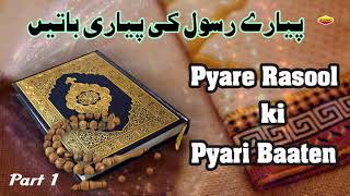 Pyare Rasool Ki Pyari Baaten  Part 1  Quran Aur Hadees [upl. by Delp]