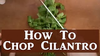 Heres The Easiest Way To Chop Cilantro [upl. by Pavlish694]