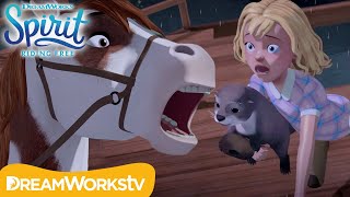 Spirit Riding riding academy Scene Horse VS Lion [upl. by Kit]