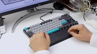 Typing Varmilo VA87M Moonlight [upl. by Clayborne]