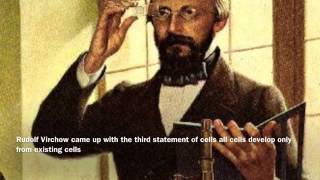 Cell Theory rudolf Virchow [upl. by Salocin236]