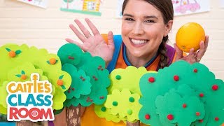 Caities Classroom Live  Trees  Preschool At Home [upl. by Notterb]