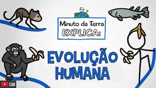 Minuto da Terra Explica A Evolução Humana [upl. by Cilo]