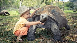 Zwierzęta w zoo [upl. by Abad]