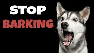 High Pitched Dog Whistle Sound To Stop Dogs Barking [upl. by Latrice655]