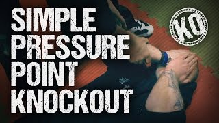 Simple Pressure Point Knockout [upl. by Aryk683]