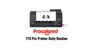 F13 Pro Printer Daily Routine [upl. by Uela781]