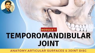 TEMPOROMANDIBULAR JOINT Anatomy amp Biomechanics [upl. by Nagorb]