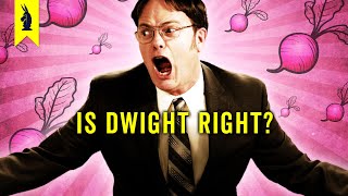 The Secret Genius of Dwight K Schrute The Office [upl. by Aleina]