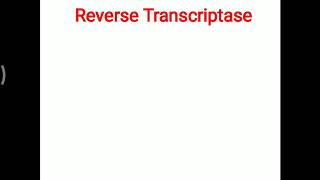 Reverse transcriptase [upl. by Aivatal]