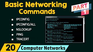 Basic Networking Commands Part 1 [upl. by Akkeber]