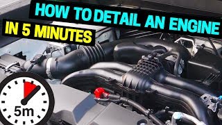 Clean amp Detail Your Car Engine in 5 Minutes [upl. by Annawot]