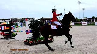 Horse show jumping falls compilation [upl. by Elleira]