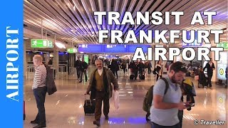 TRANSIT WALK AT FRANKFURT Airport FRA Terminal 1  Connection Flight Transfer Arriving amp Departing [upl. by Margarita]