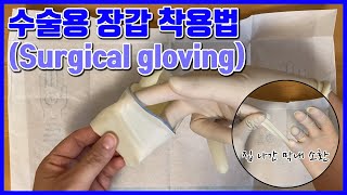 수술용 장갑 끼는 방법 Surgical Gloving [upl. by Jennica]