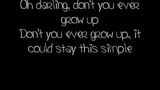 Never Grow Up  Taylor Swift lyrics [upl. by Benedix339]