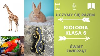 Biologia klasa 6 Świat zwierząt Uczymy się razem [upl. by Oalsinatse]