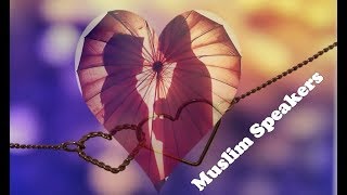 Satisfy Your Wife in Bed  Intimacy  Mufti Menk [upl. by Adnir]