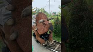 NAIK KERETA DINOSAURUS TRICERATOP BARENG ADEK KAKA [upl. by Andrade]